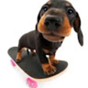 Meet your Posher, Adrie